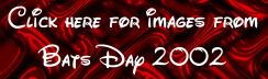 Click Here for Bats Day Images