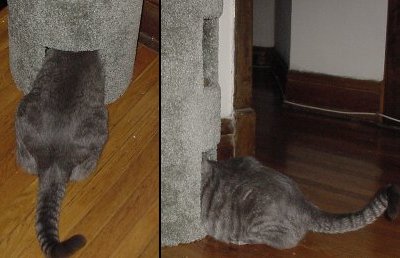 Hey, is this for me?