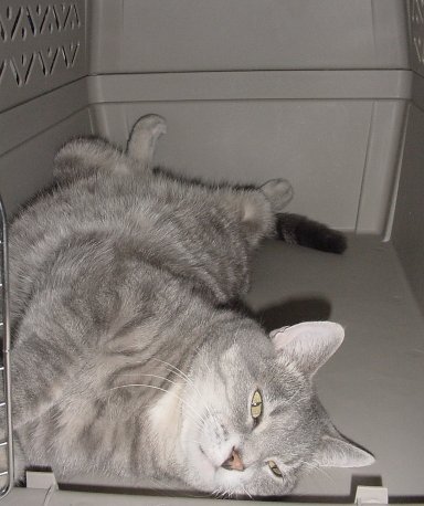 Spine? Whats a spine?