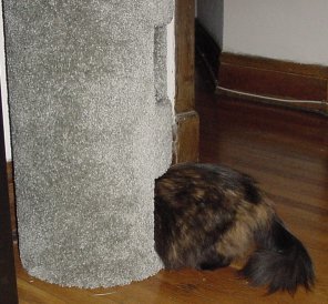 Hey, is this for me??