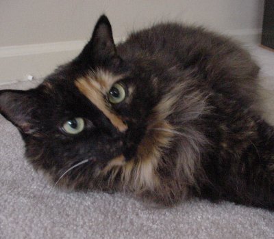 I love me mum, she's the greatest.