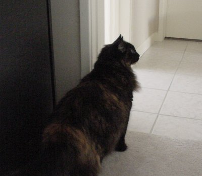 Wh-wh...who's there?